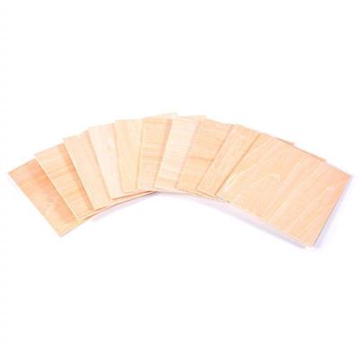 Blank Wood Squares (10 Pieces)